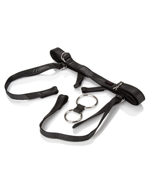 Her Royal Harness The Duchess - Black