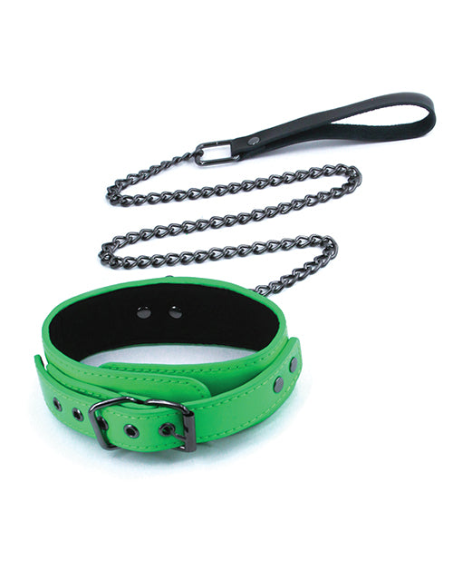 Electra Collar & Leash