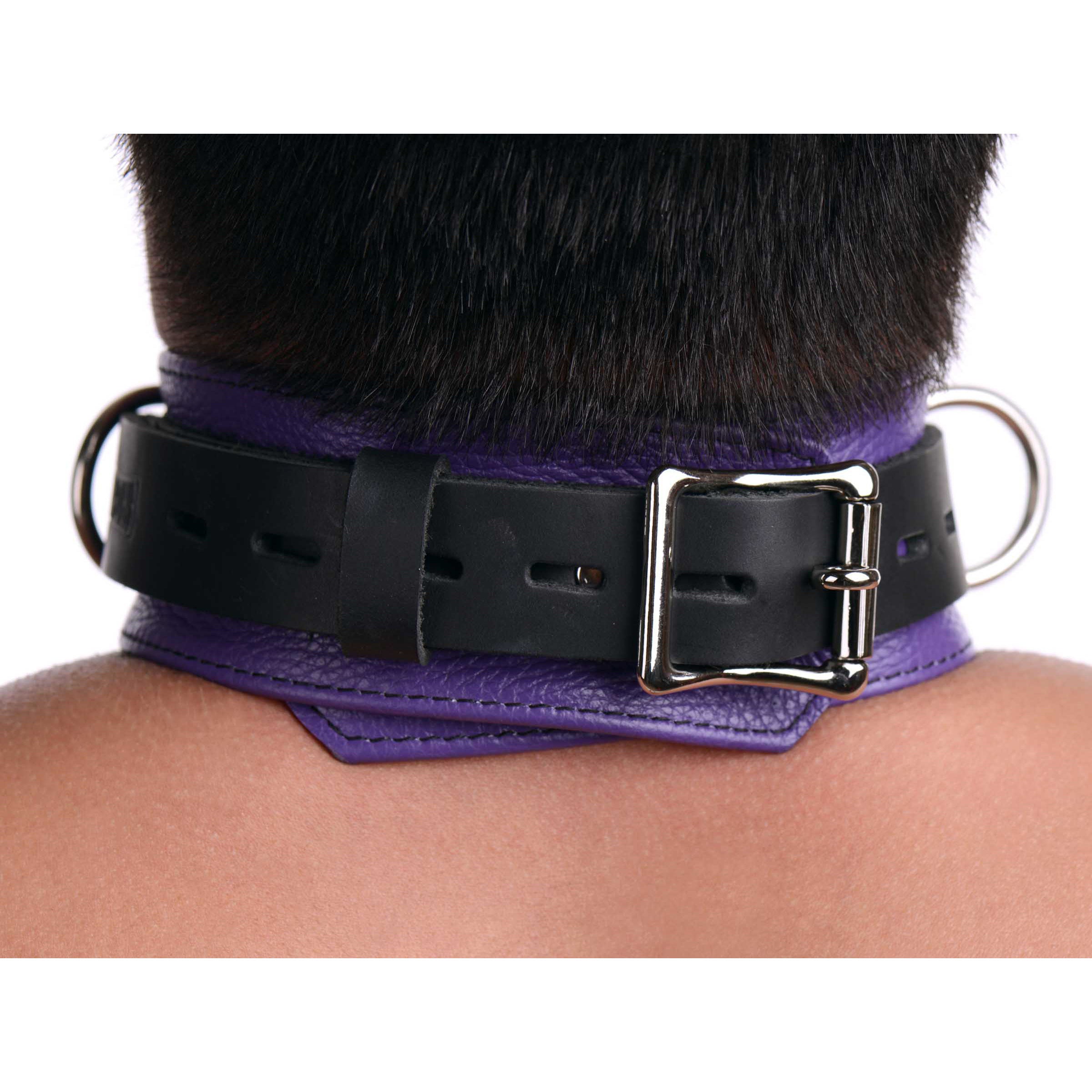 Strict Leather Deluxe Locking Collar - And Black