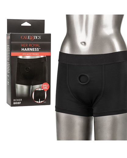 Her Royal Harness Boxer Brief - Black