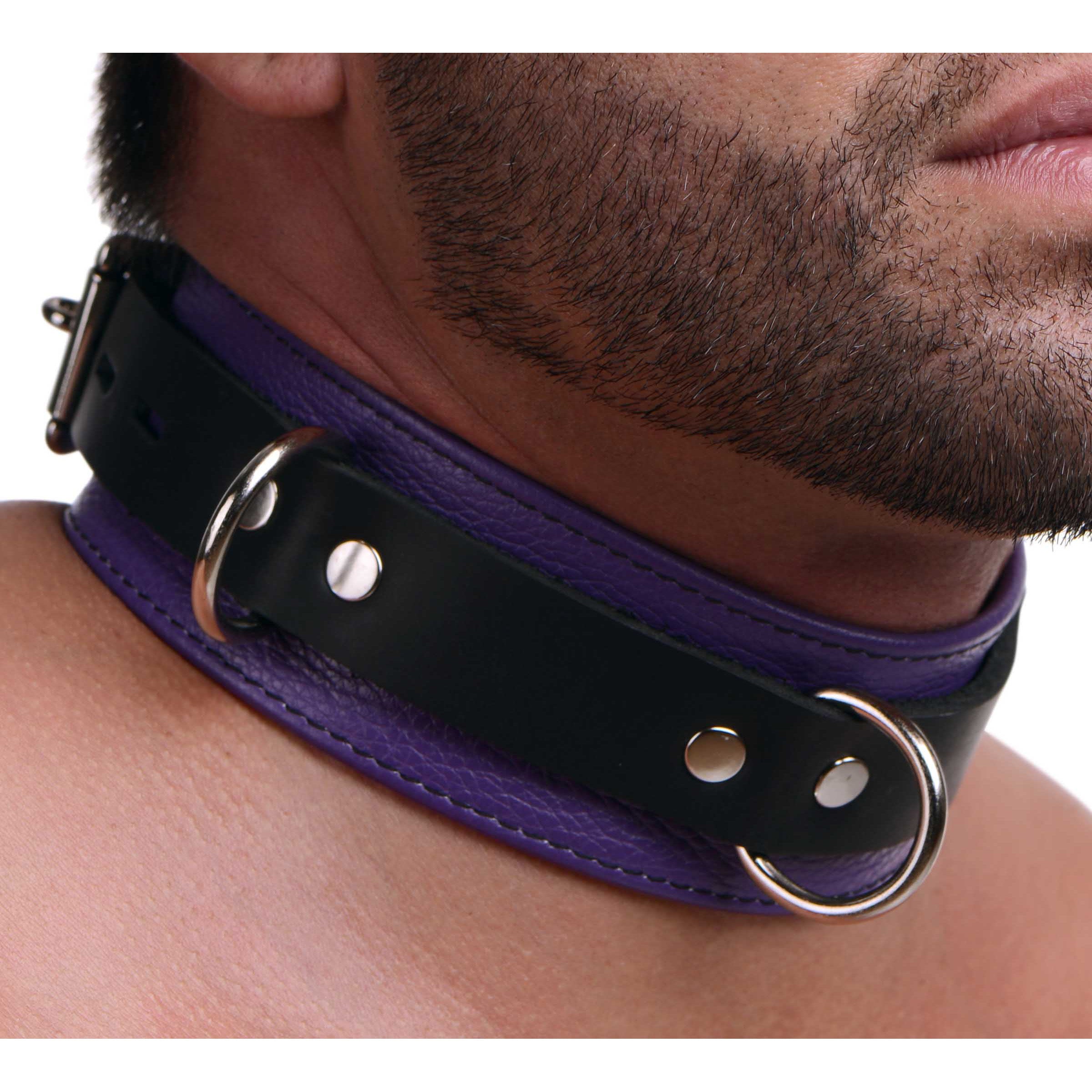 Strict Leather Deluxe Locking Collar - And Black