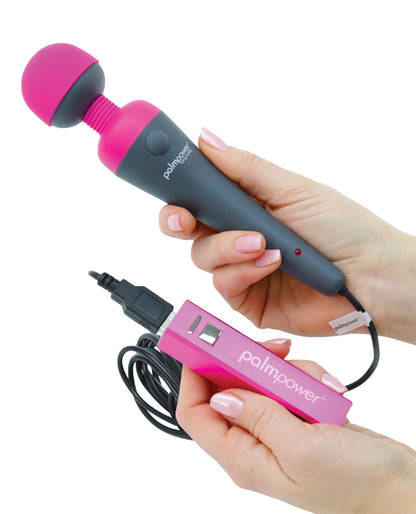 Palm Power Plug &amp; Play